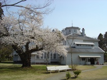 天境閣の桜