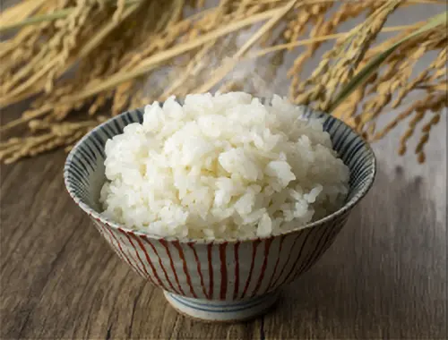 お茶碗によそったご飯の写真