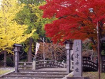 土津神社の紅葉（１）