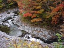 中津川渓谷の紅葉（１）