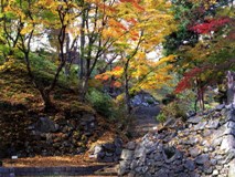 亀ヶ城公園の紅葉（１）