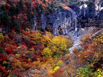 白糸の滝の紅葉