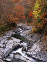 中津川渓谷の紅葉（２）