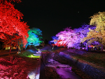 観音寺川の七色ライトアップ