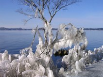 しぶき氷（３）