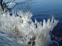 しぶき氷（４）