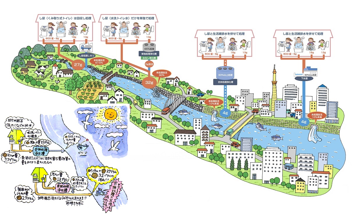 下水道や浄化槽について説明している図解