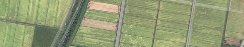 空から撮影した農地の写真