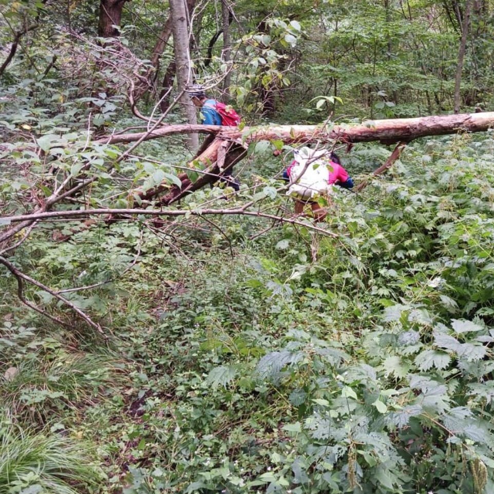 渋谷登山口の写真1