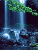 夏の達沢不動滝（3）