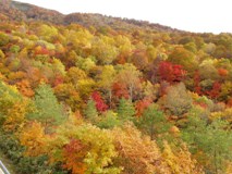 箕輪山の紅葉（1）