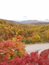 箕輪山の紅葉（2）