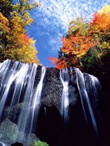 秋の達沢不動滝（2）