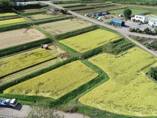 猪苗代地区の棚田の写真