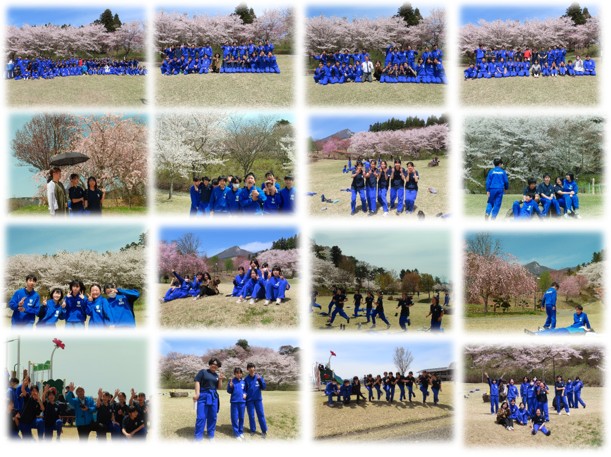 花見２年