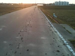 道路の泥汚れ画像