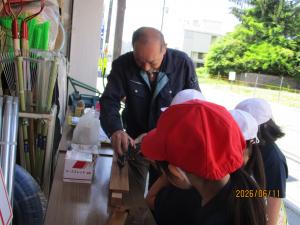 ２年生町たんけん２０